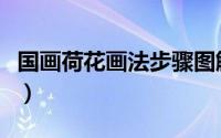 国画荷花画法步骤图解（国画荷花画法与步骤）