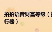 拍拍语音财富等级（拍拍语音怎么查看财富排行榜）