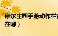 摩尔庄园手游动作栏在哪（摩尔庄园手游动作在哪）