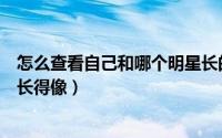 怎么查看自己和哪个明星长的像（怎么查看自己和哪个明星长得像）