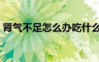 肾气不足怎么办吃什么好（肾气不足怎么办）