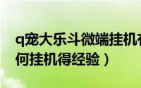 q宠大乐斗微端挂机有什么用（Q宠大乐斗如何挂机得经验）