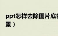 ppt怎样去除图片底色（PPT怎样去除图片背景）
