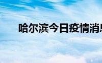 哈尔滨今日疫情消息（哈尔滨碎尸案）