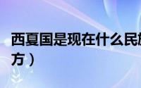 西夏国是现在什么民族（西夏国是现在什么地方）