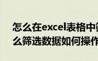 怎么在excel表格中筛选数据（excel表格怎么筛选数据如何操作）