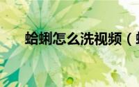 蛤蜊怎么洗视频（蛤蜊怎么洗才干净）
