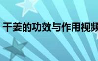 干姜的功效与作用视频（干姜的功效与作用）