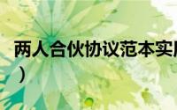 两人合伙协议范本实用版文库（两人合伙协议）