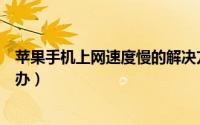 苹果手机上网速度慢的解决方法（苹果手机上网速度慢怎么办）