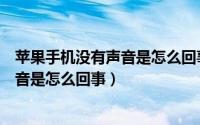 苹果手机没有声音是怎么回事也没有静音（苹果手机没有声音是怎么回事）