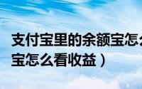 支付宝里的余额宝怎么转账（支付宝里的余额宝怎么看收益）
