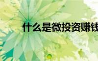 什么是微投资赚钱（什么是微投资）