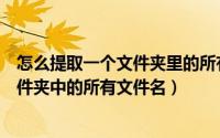 怎么提取一个文件夹里的所有文件名（如何快速提取同一文件夹中的所有文件名）