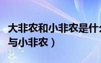 大非农和小非农是什么意思（如何区分大非农与小非农）
