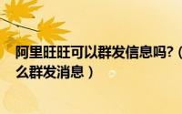 阿里旺旺可以群发信息吗?（阿里旺旺怎么群发消息 千牛怎么群发消息）