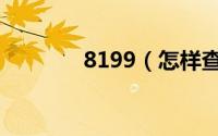 8199（怎样查看4899端口）