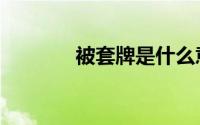 被套牌是什么意思（被套牌）
