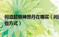 问道超级神兽丹在哪买（问道手游超级神兽丹怎么获得有哪些方式）