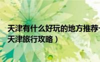 天津有什么好玩的地方推荐一下呗（天津有什么好玩的地方天津旅行攻略）
