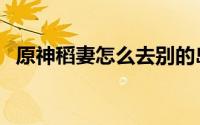 原神稻妻怎么去别的岛（原神稻妻怎么去）