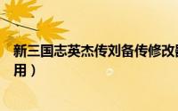 新三国志英杰传刘备传修改器（三国志刘备传的修改器怎么用）