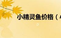 小精灵鱼价格（小精灵鱼怎么养）