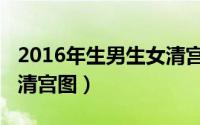2016年生男生女清宫图解（2016年生男生女清宫图）