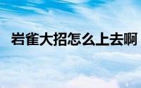 岩雀大招怎么上去啊（岩雀大招怎么上去）