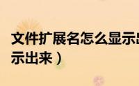文件扩展名怎么显示出来（文件扩展名怎么显示出来）