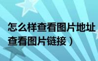 怎么样查看图片地址（如何查看图片地址怎么查看图片链接）