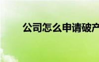 公司怎么申请破产（公司怎么节电）