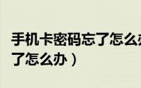 手机卡密码忘了怎么办在异地（手机卡密码忘了怎么办）