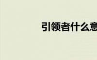 引领者什么意思（引领者）