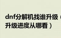 dnf分解机找谁升级（DNF分解师分解机怎么升级进度从哪看）
