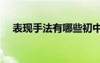 表现手法有哪些初中（表现手法有哪些）