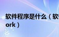 软件程序是什么（软件程序[8]NET Framework）