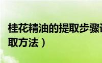 桂花精油的提取步骤详细介绍（桂花精油的提取方法）