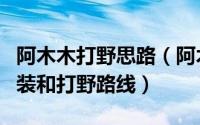 阿木木打野思路（阿木木主流打野全教程附初装和打野路线）