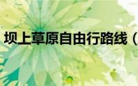 坝上草原自由行路线（坝上草原自由行攻略）
