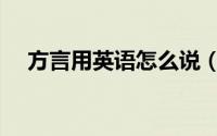 方言用英语怎么说（方言用英语怎么说）