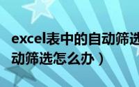 excel表中的自动筛选不能用了（excel不能自动筛选怎么办）