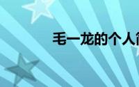 毛一龙的个人简历（毛一丁）