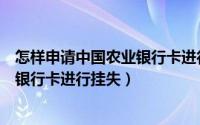 怎样申请中国农业银行卡进行挂失补办（怎样申请中国农业银行卡进行挂失）