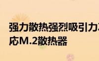 强力散热强烈吸引力ZADAK即将推出RGB対応M.2散热器