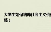大学生如何培养社会主义价值观（大学生如何培养社会责任感）