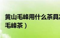 黄山毛峰用什么茶具冲泡合适（怎样冲泡黄山毛峰茶）