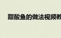 甜酸鱼的做法视频教程（甜酸鱼的做法）