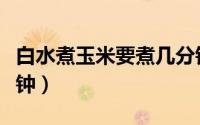 白水煮玉米要煮几分钟（白水煮玉米要煮几分钟）