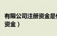有限公司注册资金是什么意思（有限公司注册资金）